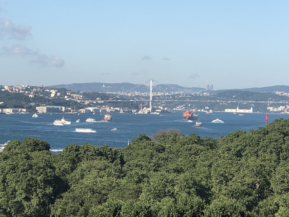 Albatros Hagia Sophia 1