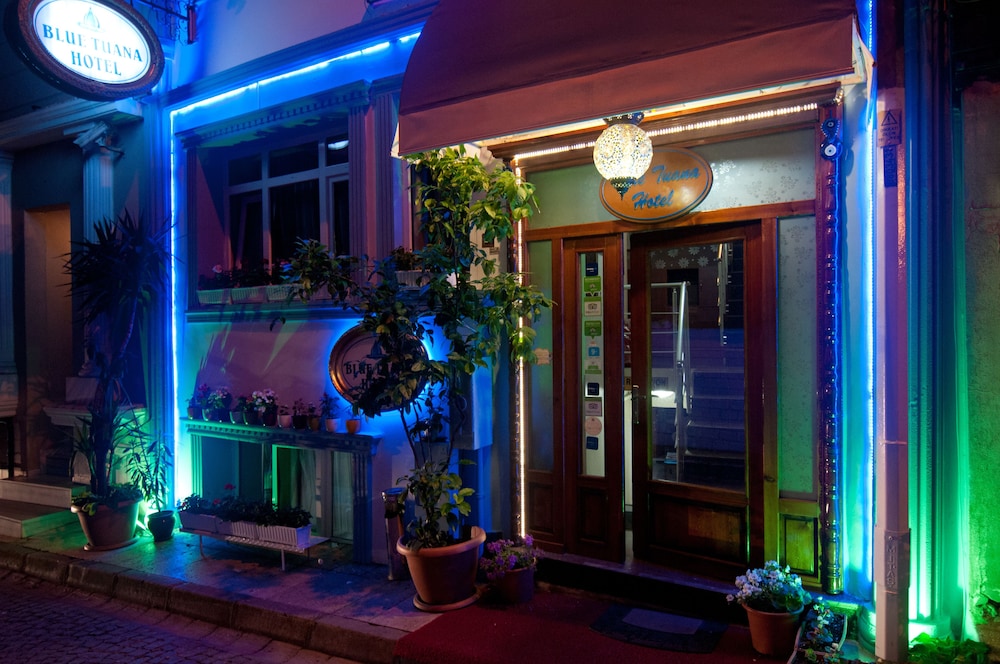 Blue Tuana 1