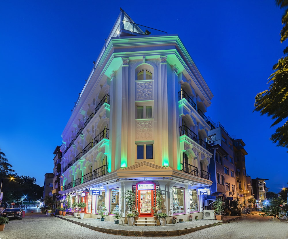 The Magnaura Palace 1
