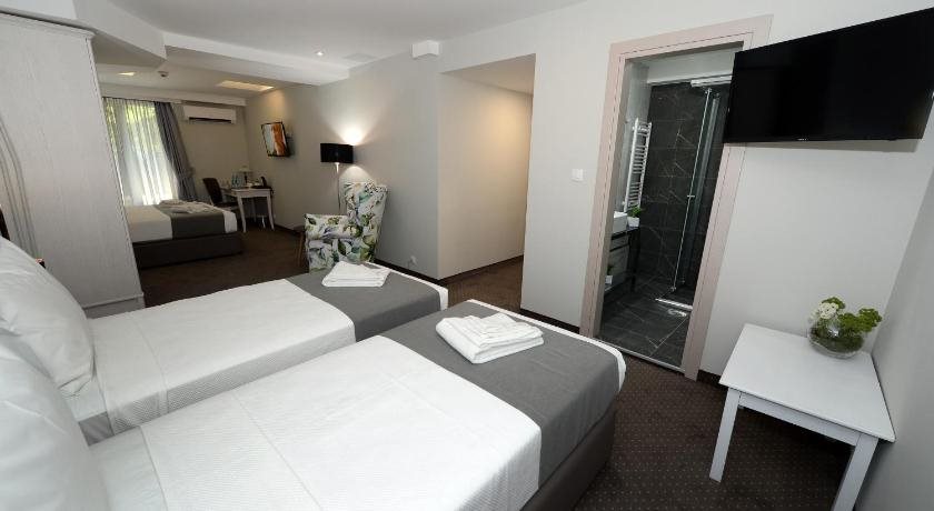 Hotel Alexandar II 17