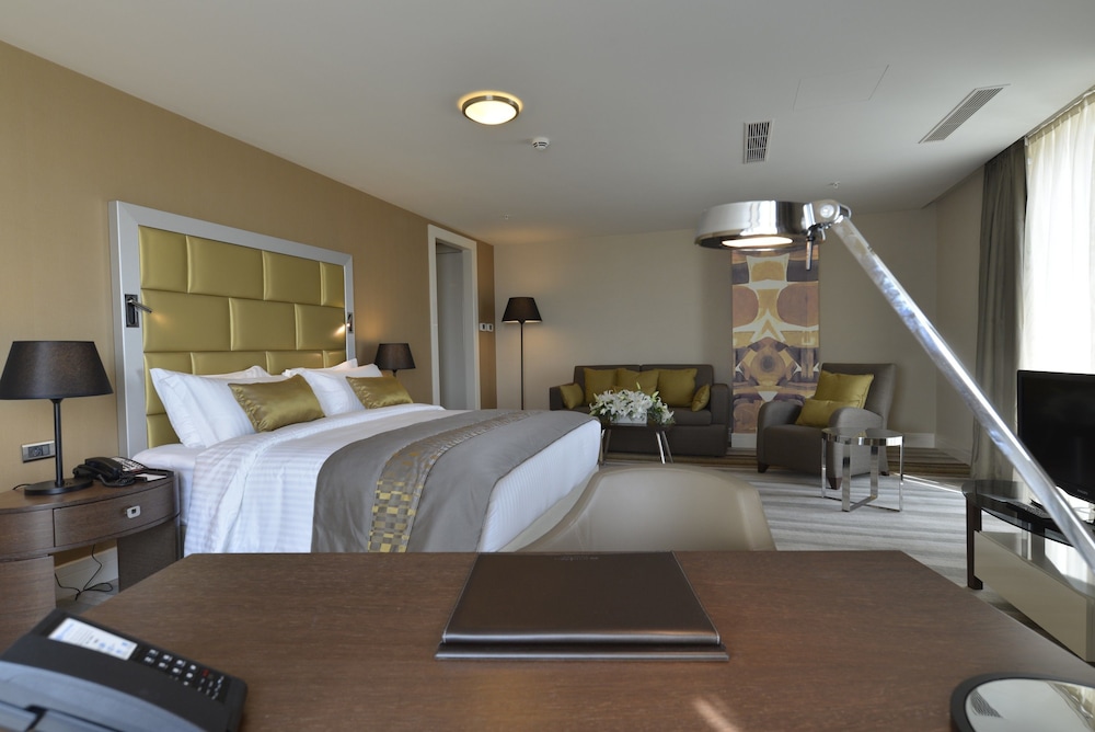 Wyndham Grand Istanbul Europe 10