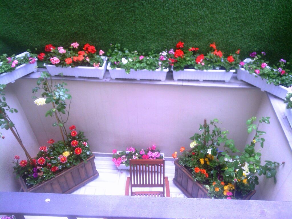 Calanthe Residence 4