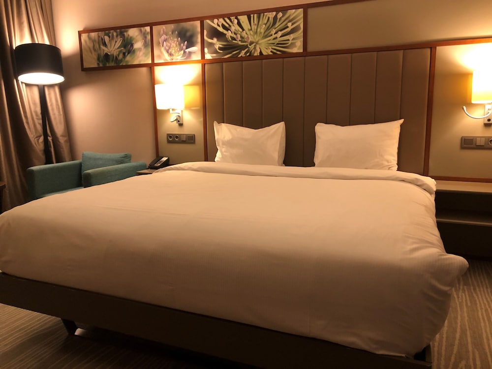 Hilton Garden Inn Istanbul Ataturk Airport 13