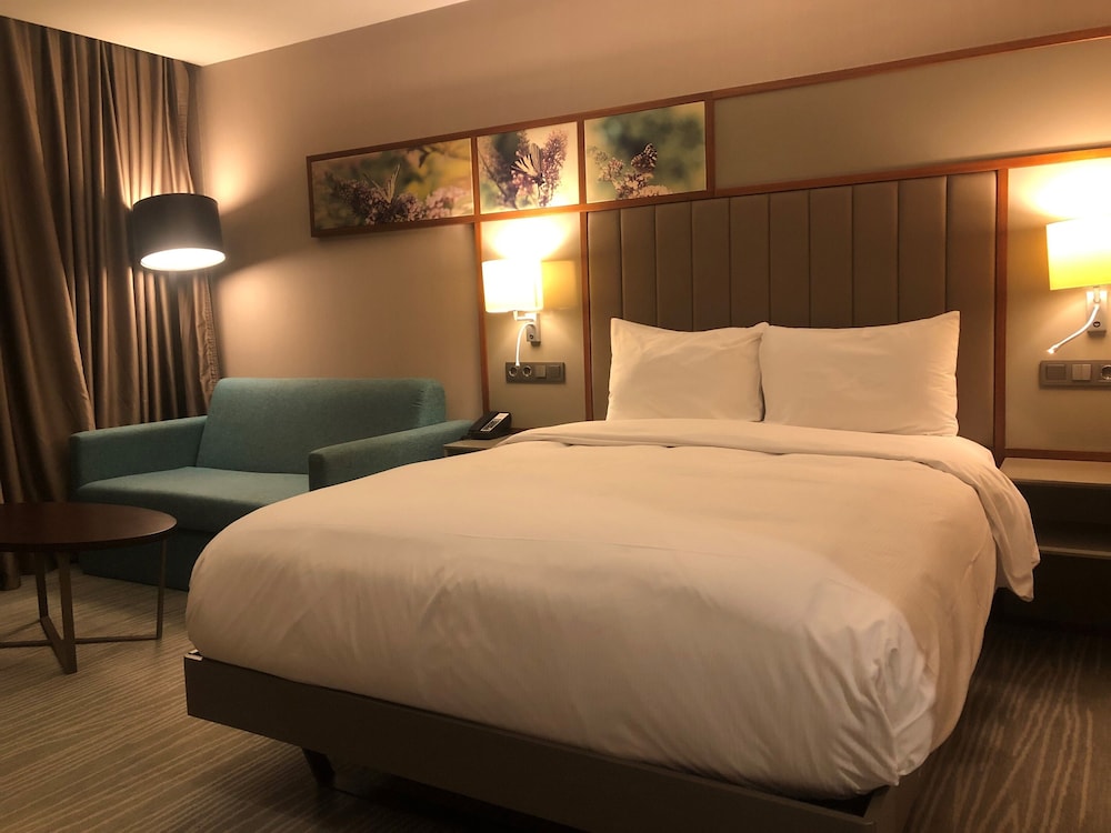 Hilton Garden Inn Istanbul Ataturk Airport 8