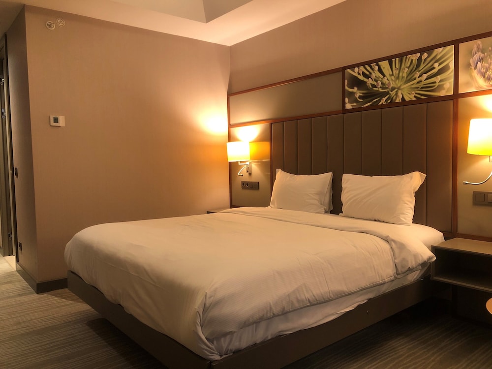 Hilton Garden Inn Istanbul Ataturk Airport 9