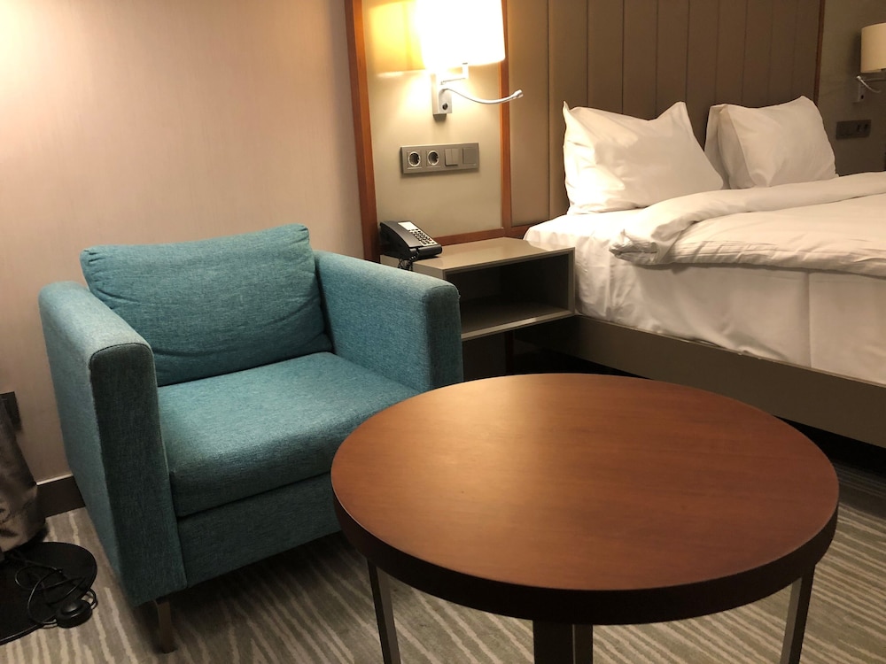 Hilton Garden Inn Istanbul Ataturk Airport 17