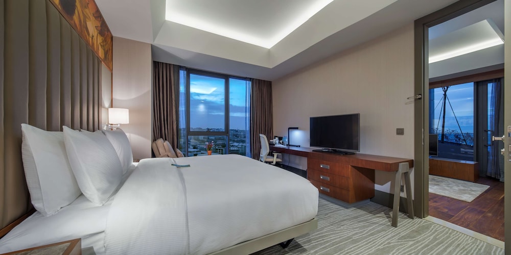 Hilton Garden Inn Istanbul Ataturk Airport 24