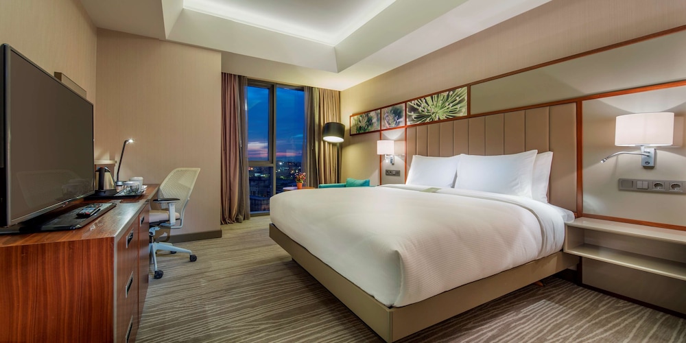 Hilton Garden Inn Istanbul Ataturk Airport 21