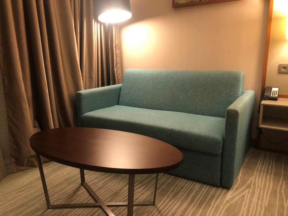 Hilton Garden Inn Istanbul Ataturk Airport 12