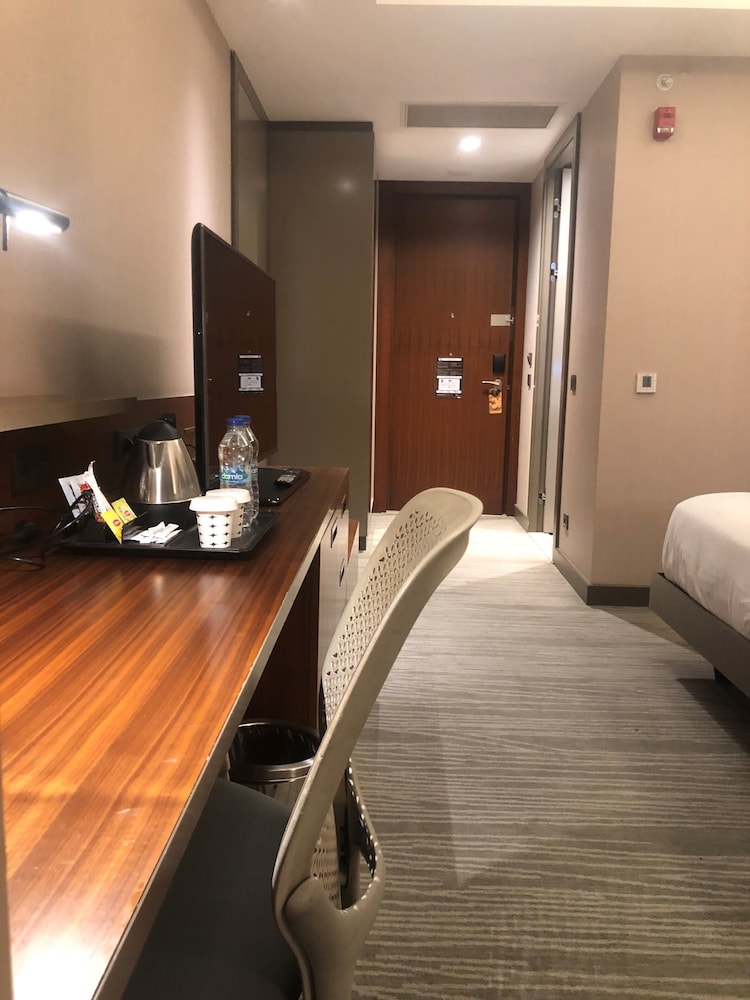 Hilton Garden Inn Istanbul Ataturk Airport 11