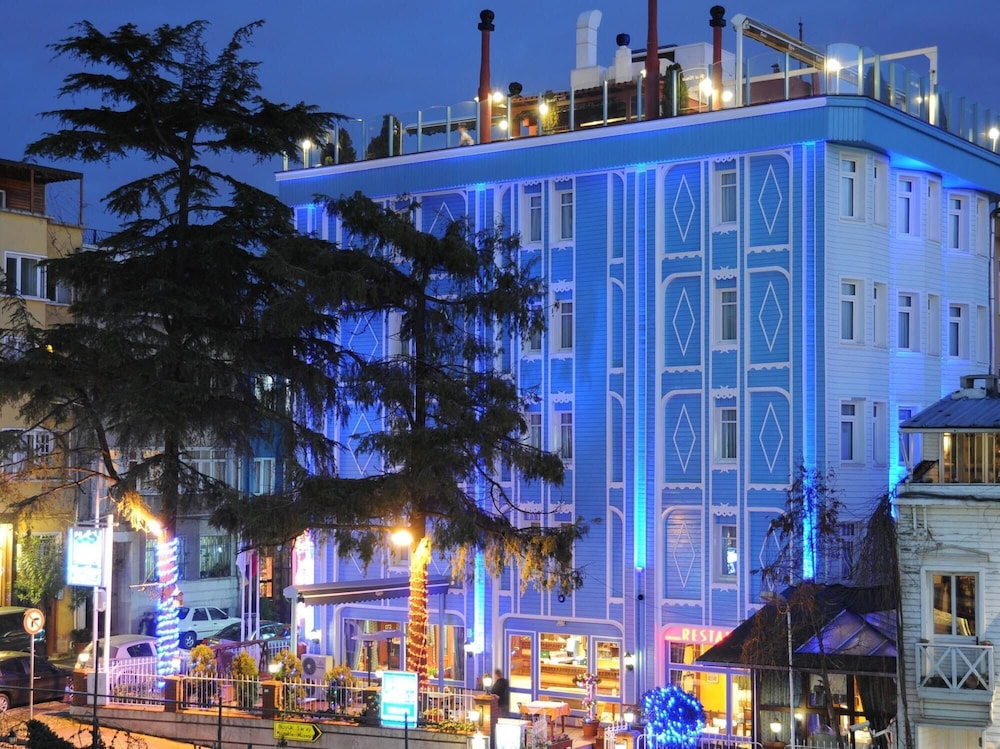 Blue House 1