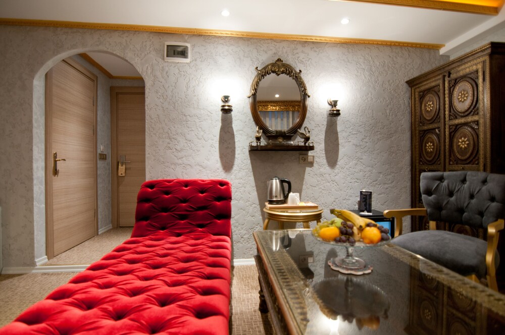 Hotel Aslan Istanbul 17