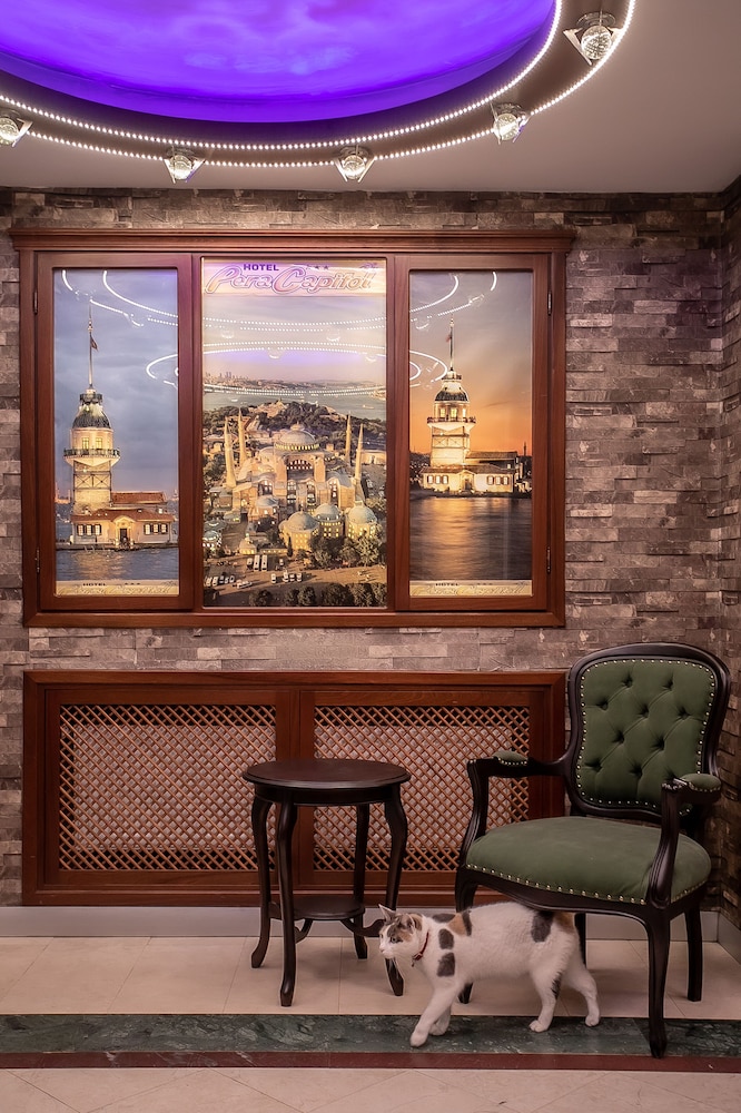 Hotel Pera Capitol 5