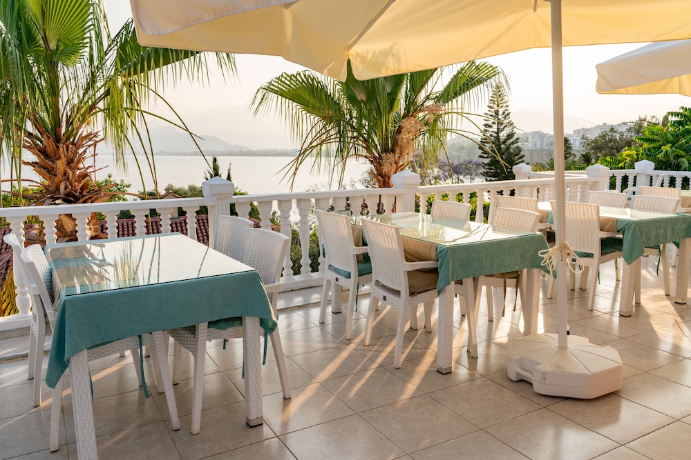 Bacchus Pension 20