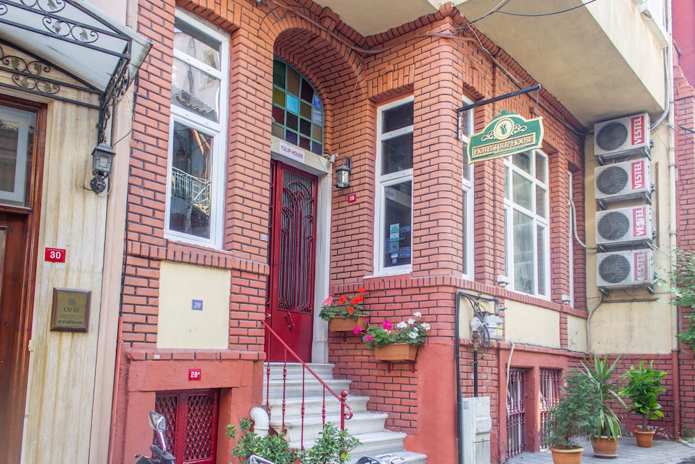 Tulip House 1