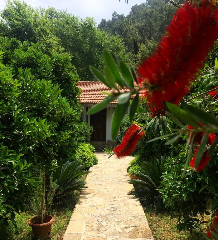 Cirali Dolunay 22