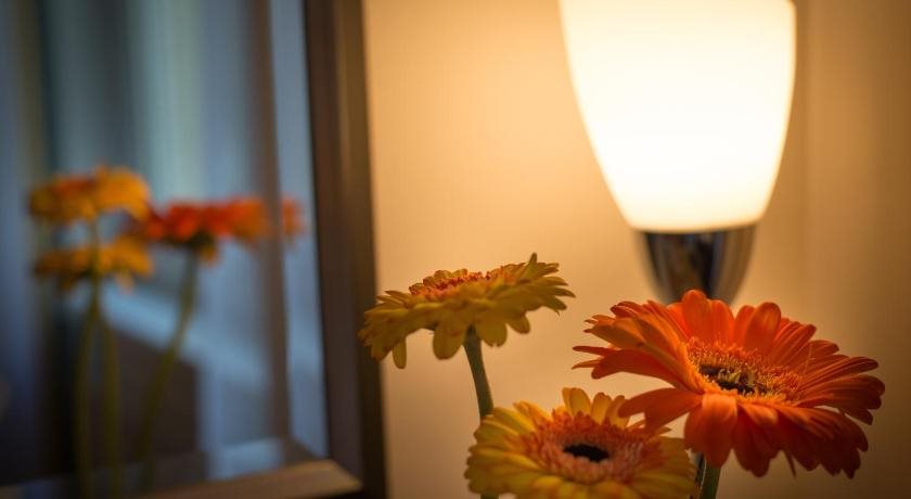 Hotel Boltzmann 2
