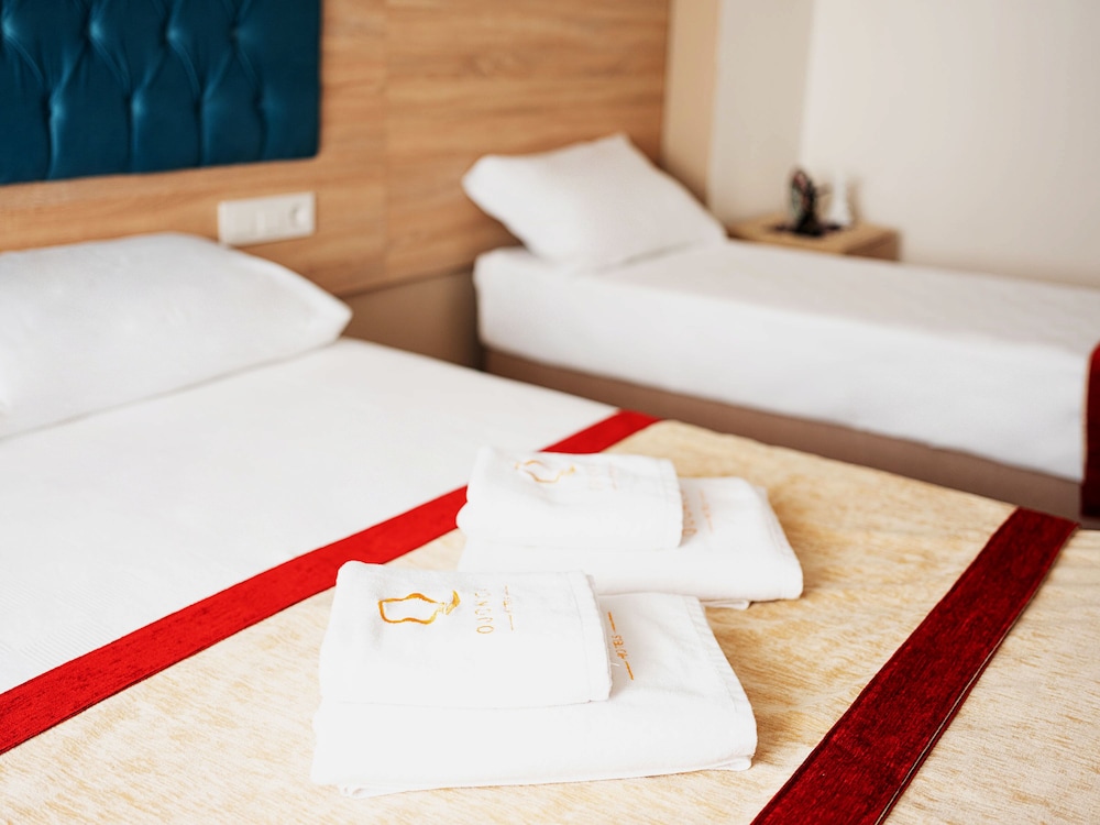 The Laila Hotel 20