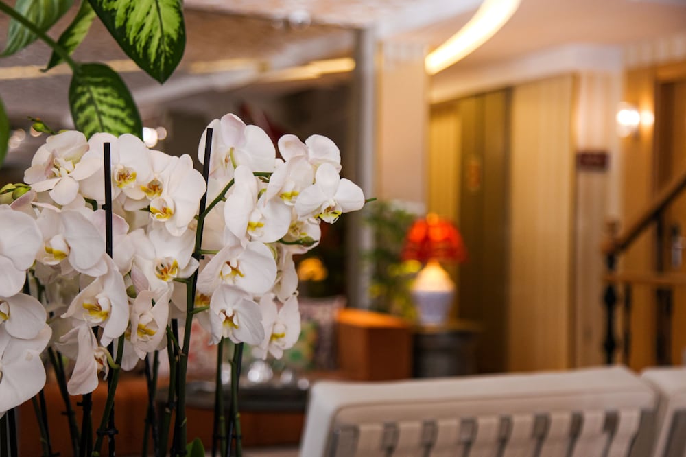 Almina Guest House 4
