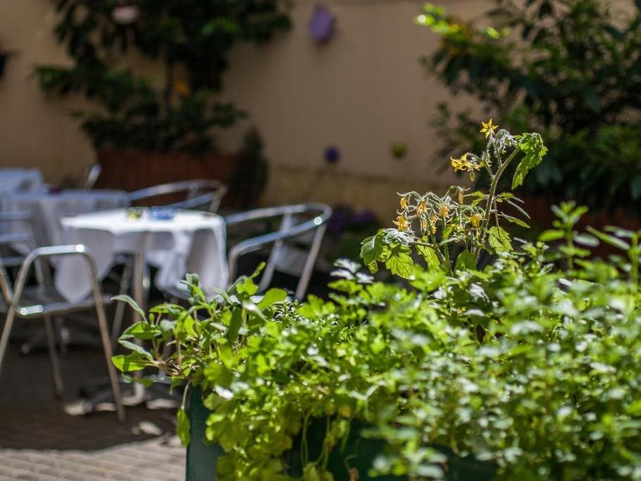 BoutiqueHOTEL Donauwalzer Wien 20