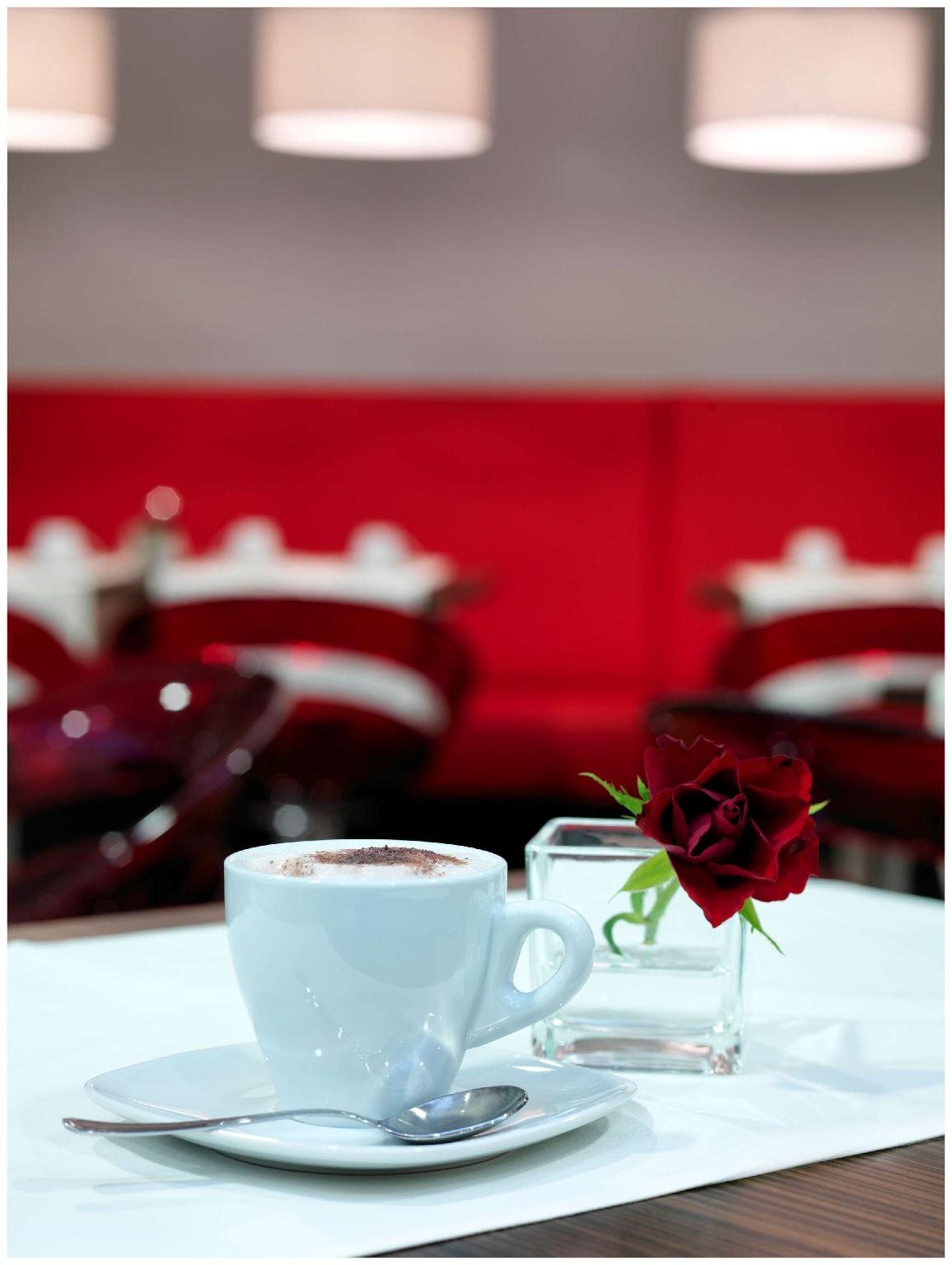 PLAZA INN Amedia Wien 15