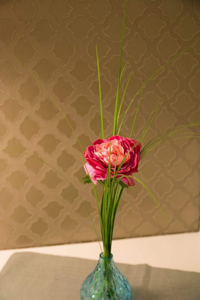 Helvetia Suites 12