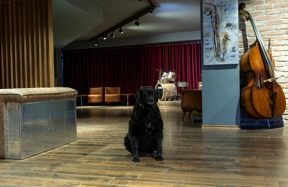 Jazz Hotel 3