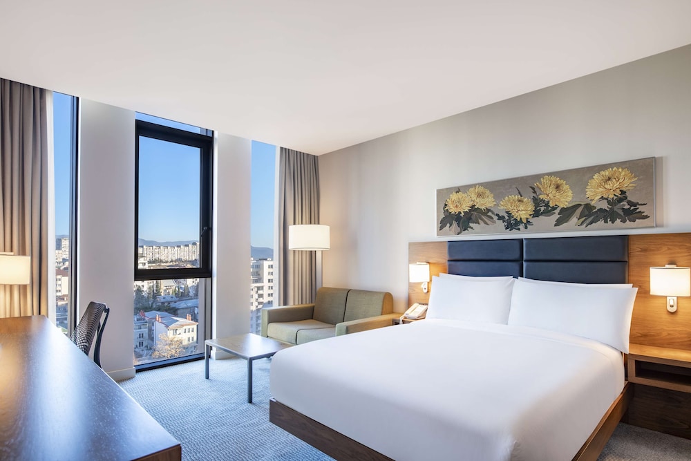 Hilton Garden Inn Tbilisi Chavchavadze 13