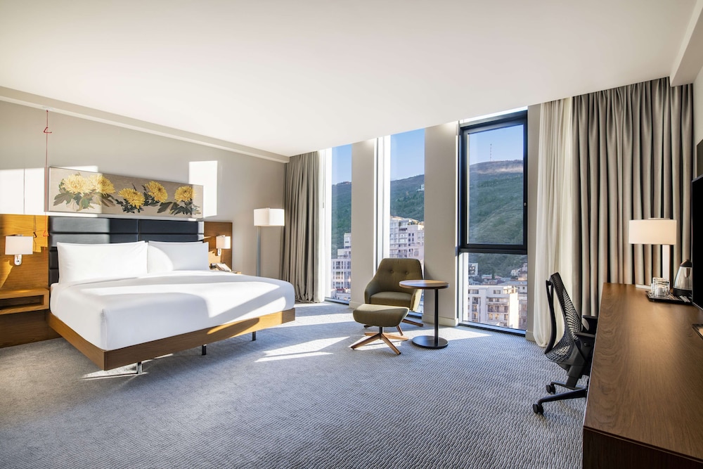 Hilton Garden Inn Tbilisi Chavchavadze 18