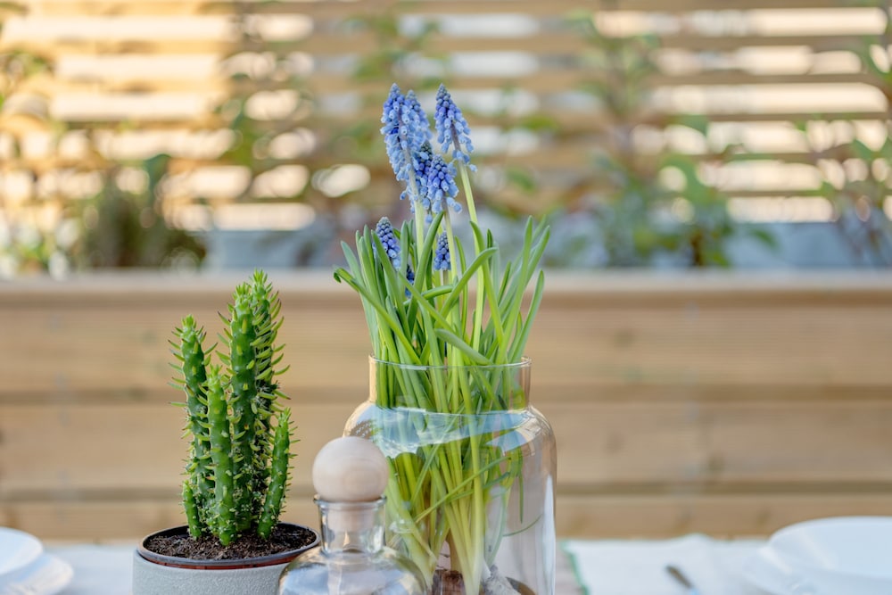 Maryflower Premium Apartments Piraeus 15
