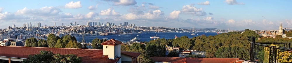 Le Safran Palace Hotel 14