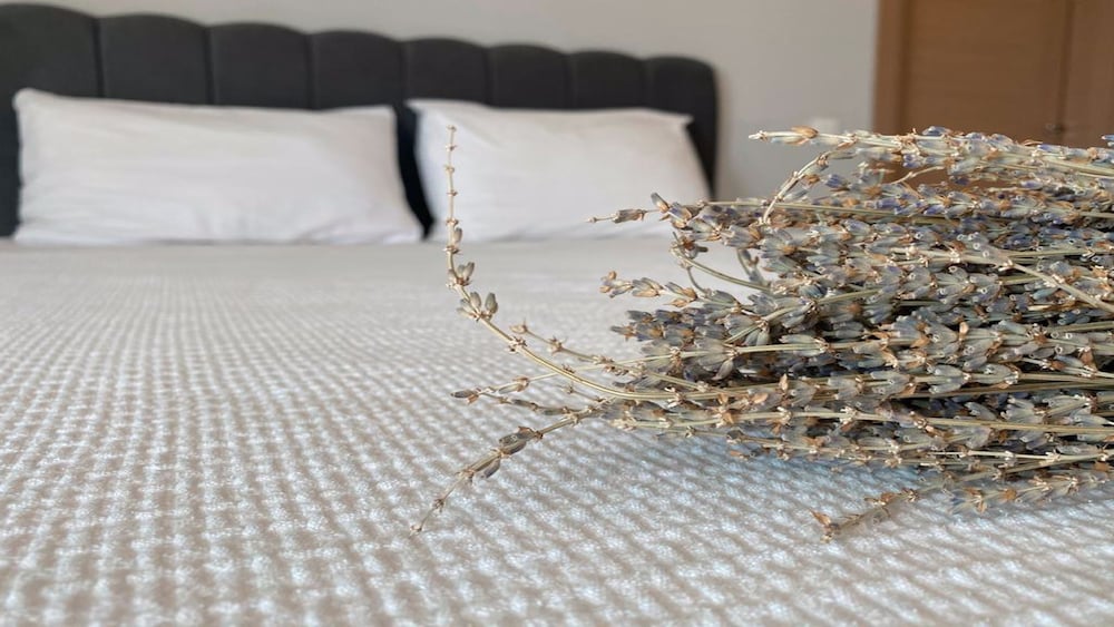 Zeynel Boutique Hotel 15
