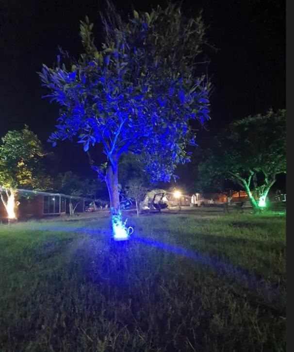 Orange Beach Camp Karavan Club 4