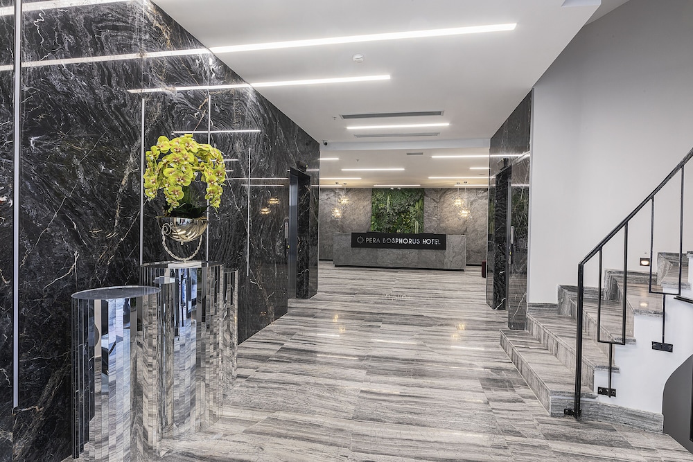 Pera Bosphorus Hotel 8