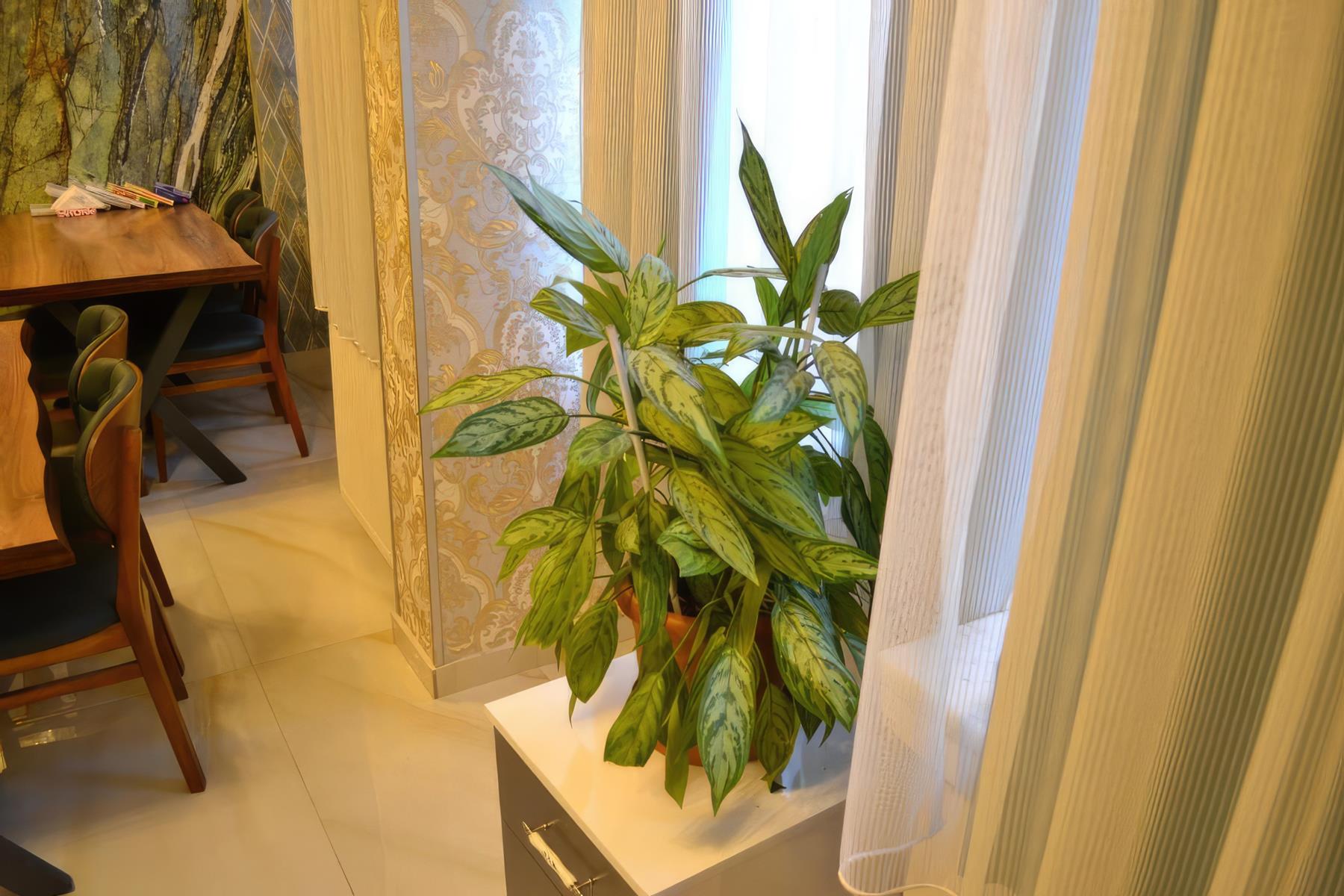 Bona Sera Hotel 14