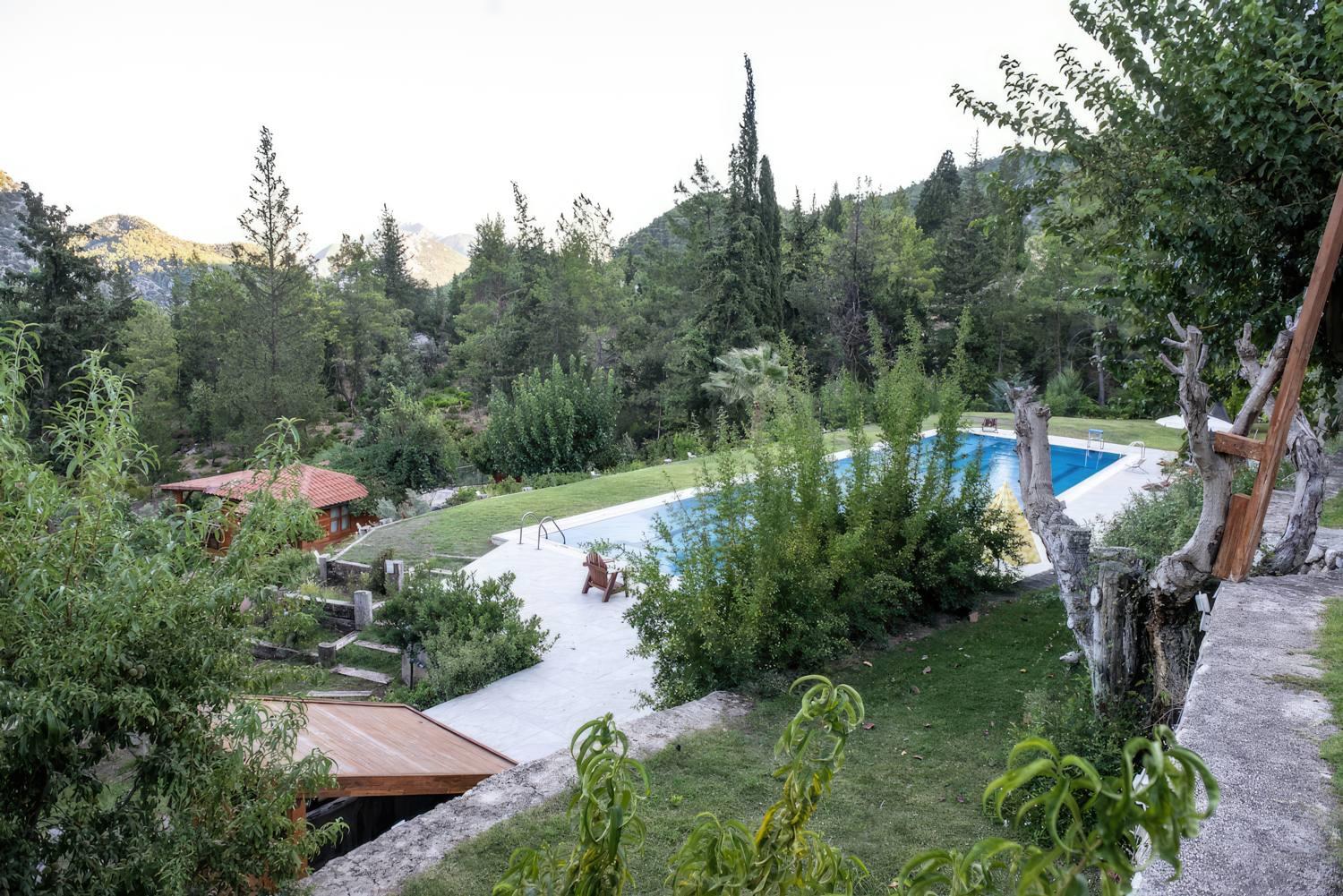 TrinityS Forest Bungalows 6