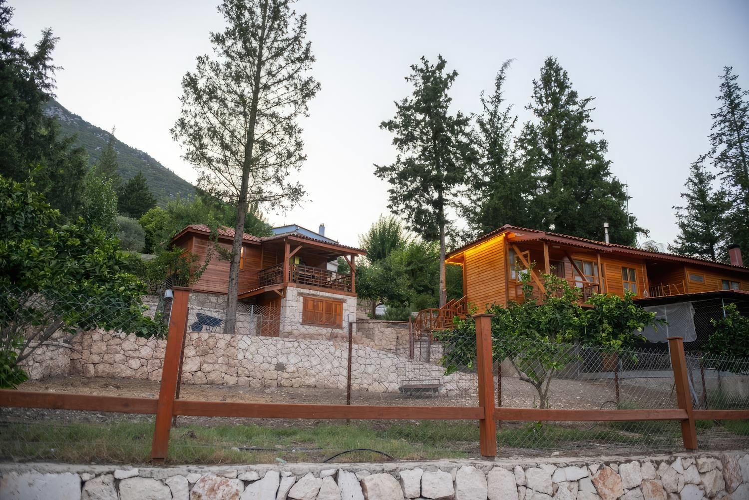 TrinityS Forest Bungalows 7