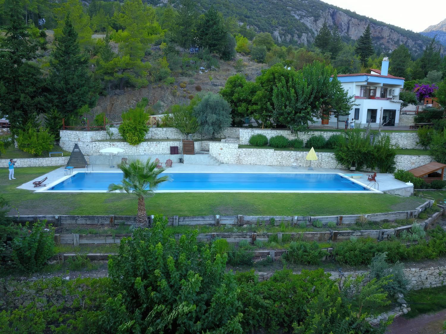 TrinityS Forest Bungalows 8