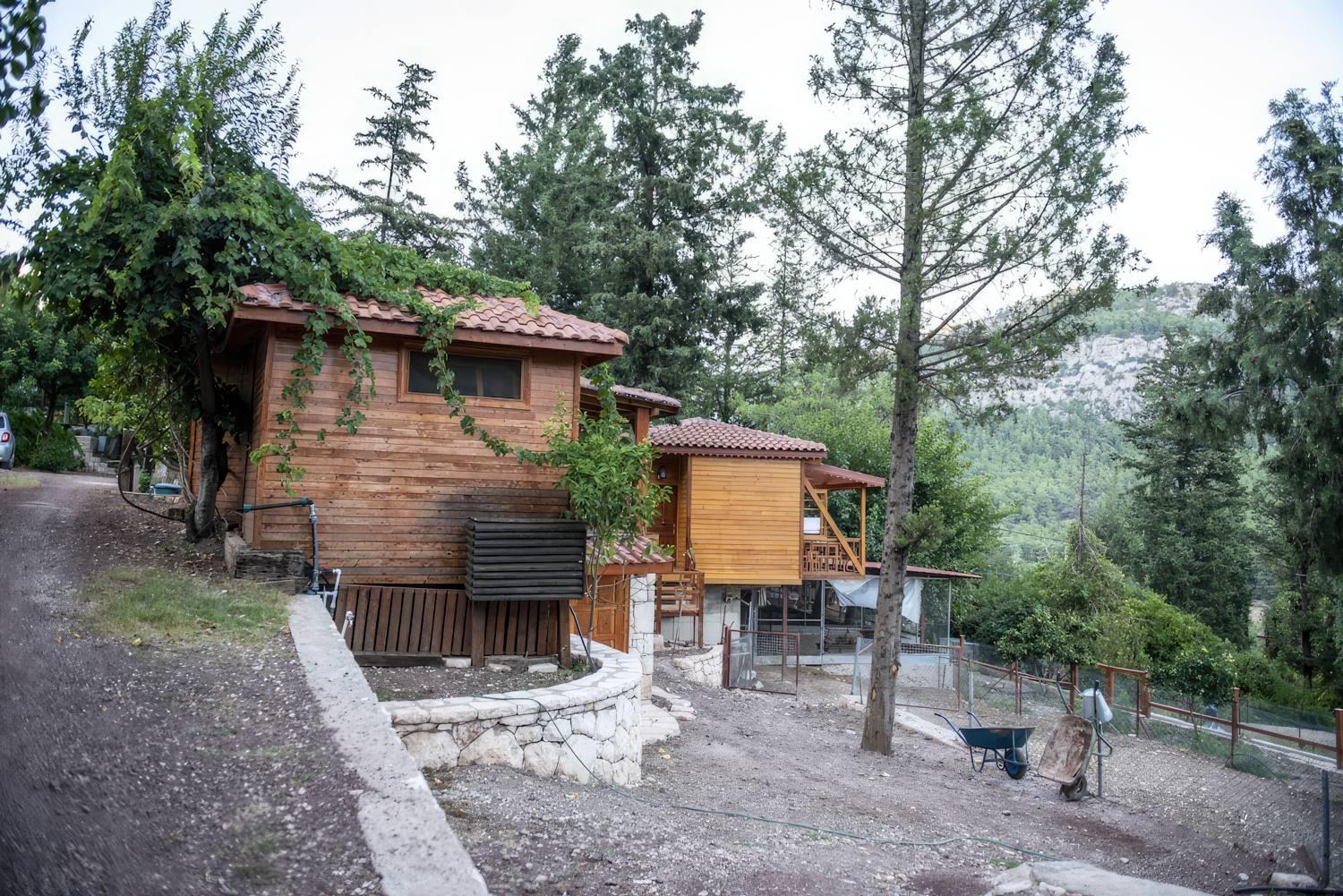 TrinityS Forest Bungalows 10