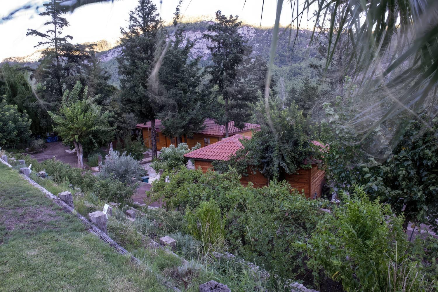 TrinityS Forest Bungalows 13