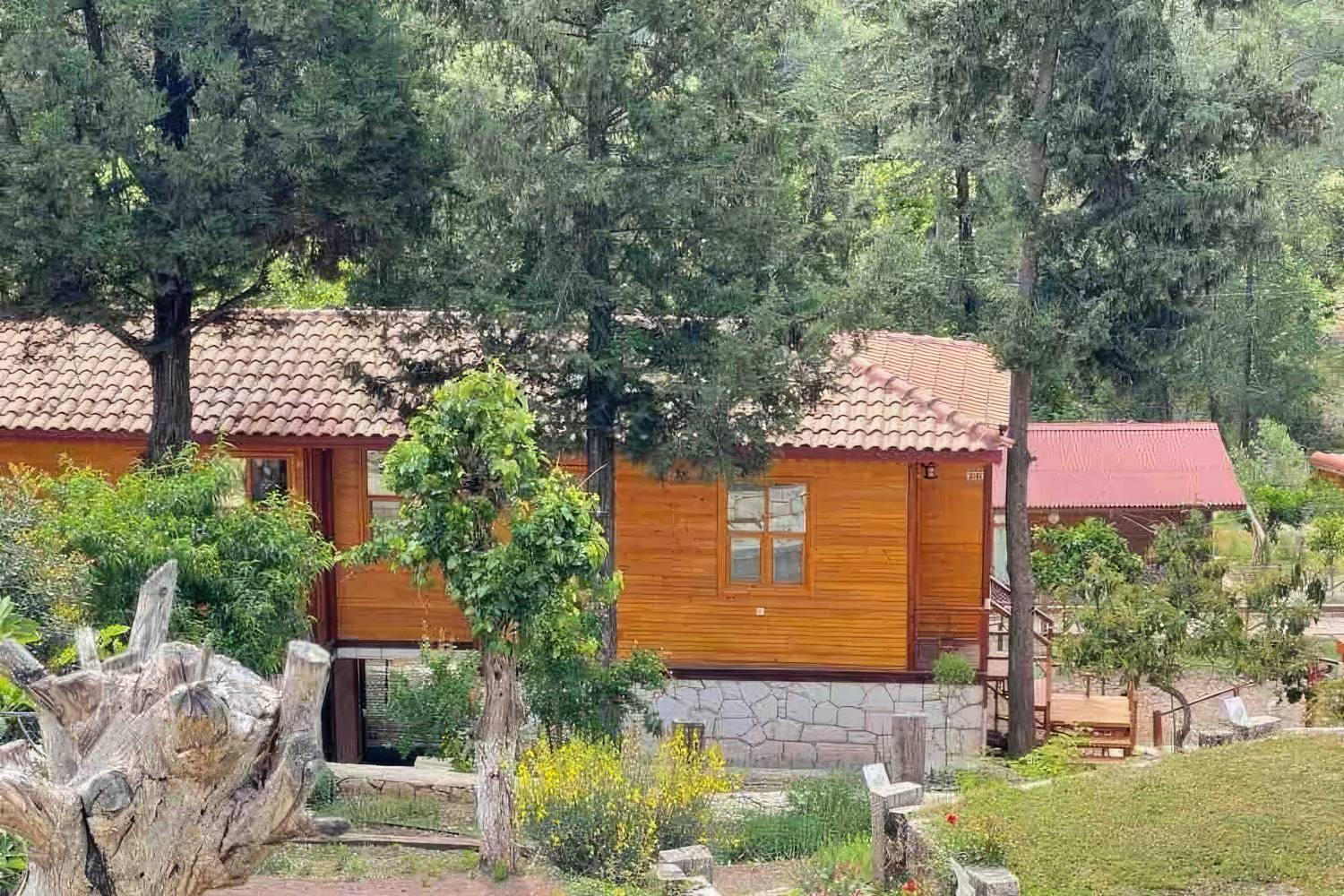 TrinityS Forest Bungalows 20