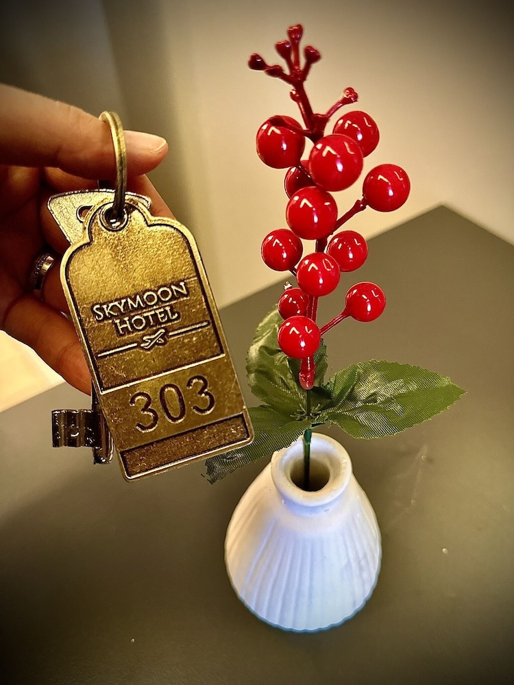 Skymoon Istanbul Airport Hotel 10