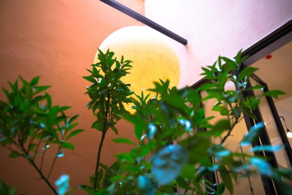 Hotel Orangine 24