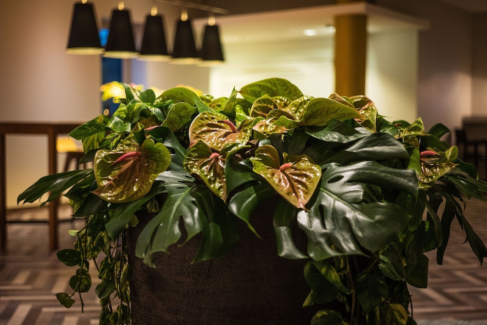 Sheraton Düsseldorf Airport Hotel 2