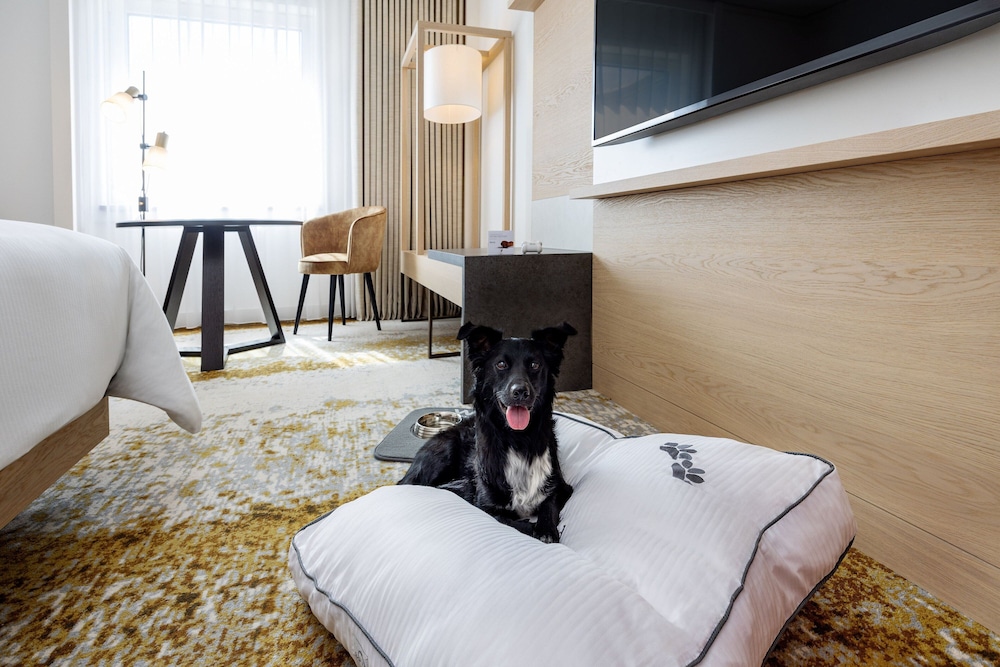 The Westin Grand Frankfurt 18
