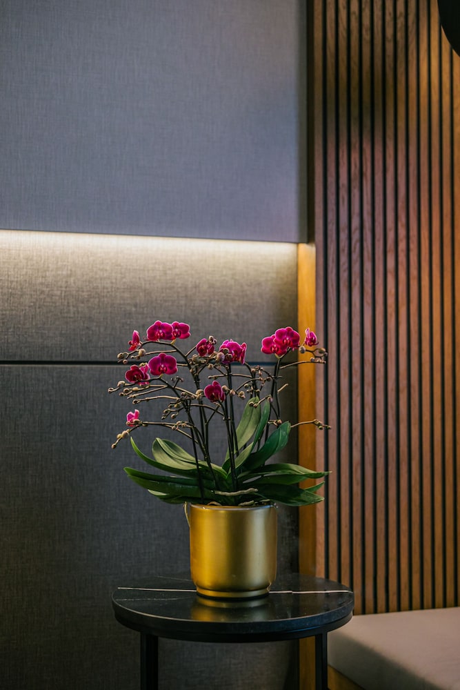 Radisson Collection Hotel, Roma Antica 8