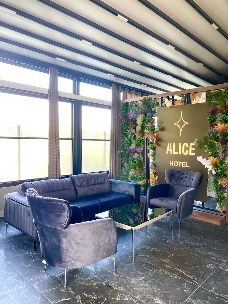 Alice Hotel 2