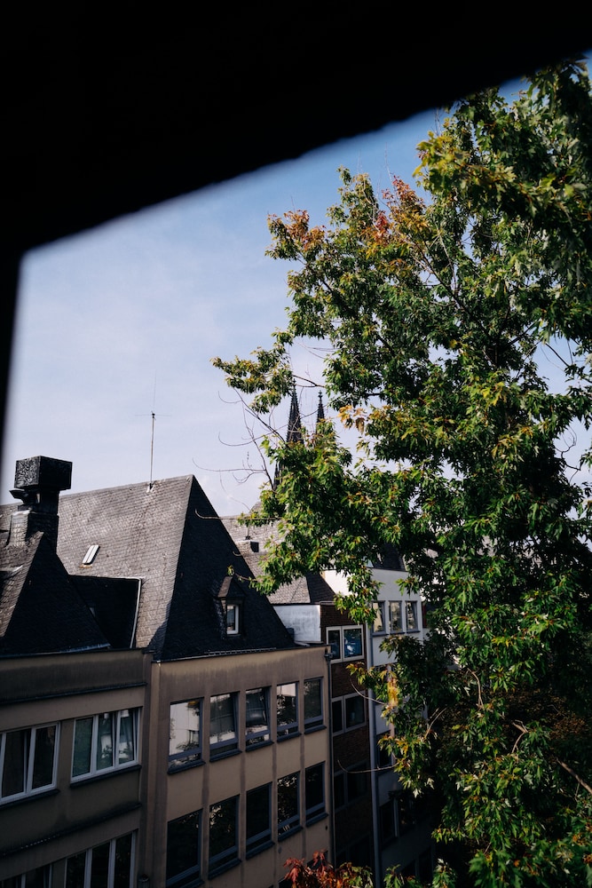 Lint Koeln 6