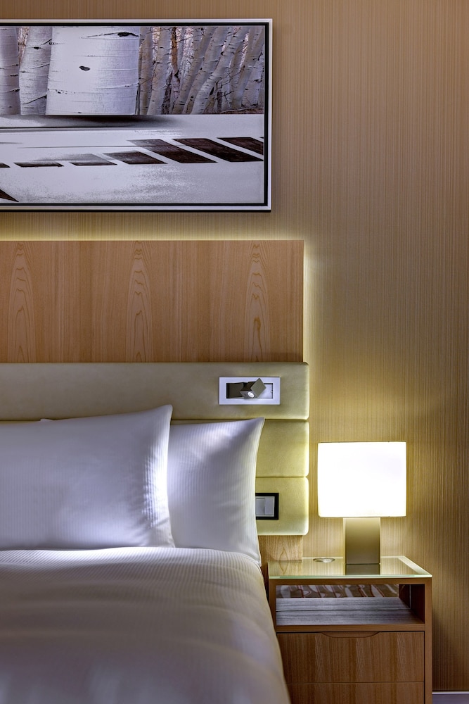Hilton Frankfurt Airport 7
