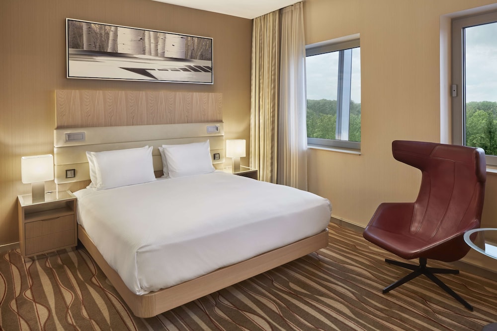 Hilton Frankfurt Airport 19